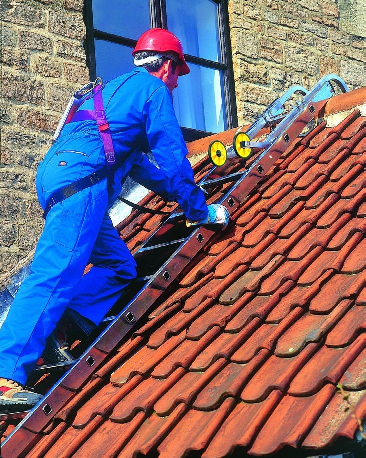 Roof Ladder - Single